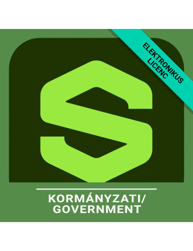 Substance 3D Assets for enterprise - Kormányzati, Angol, Új előfizetés, 12 hónap